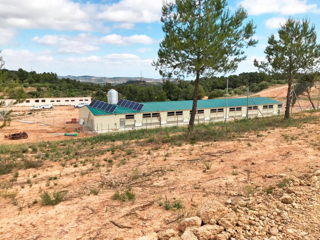 Granja de pollos
