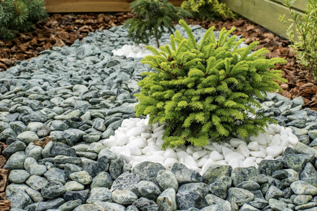 Transforma tu Jardín con Piedras Decorativas: Guía Completa para Casas  Prefabricadas